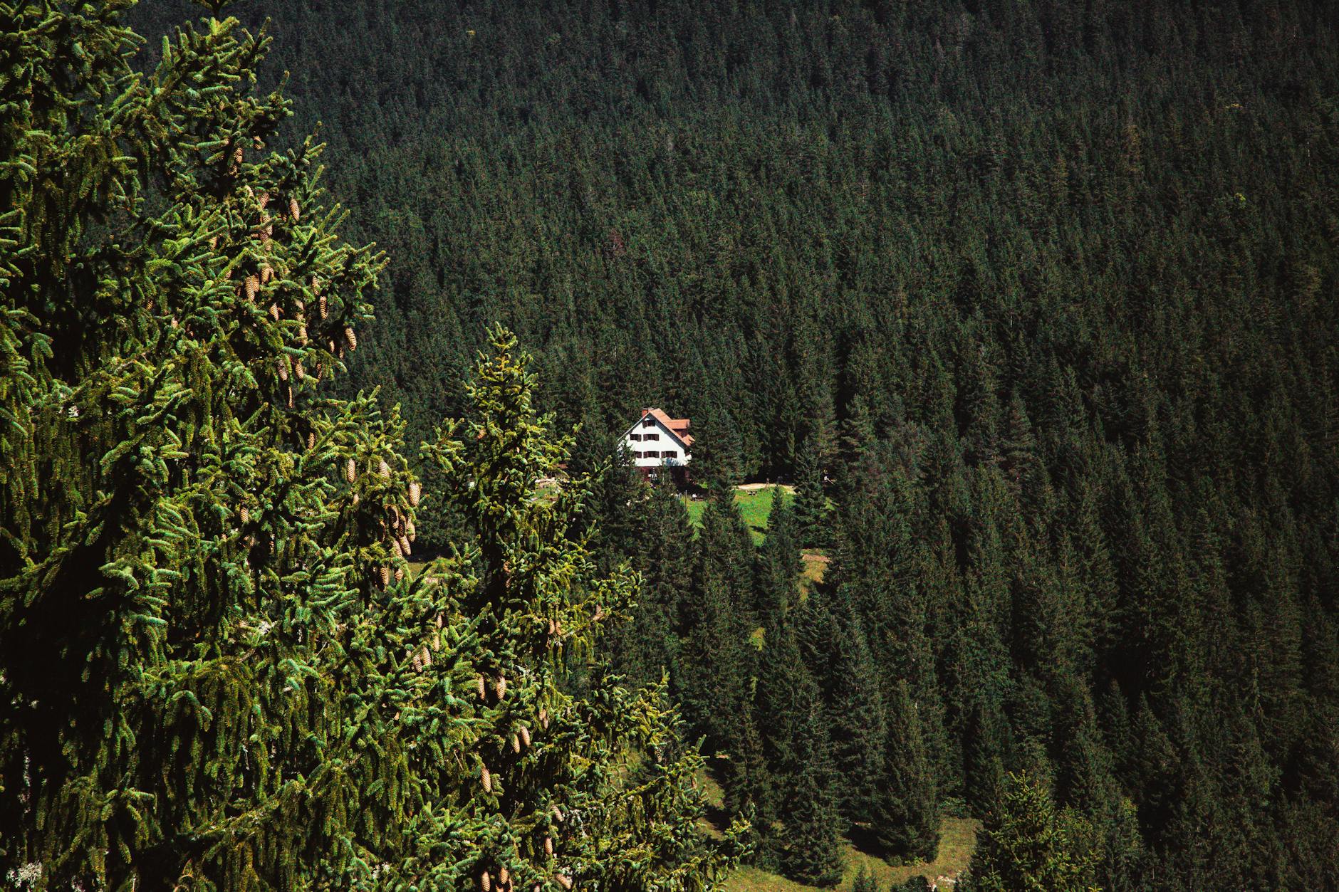 Himalayan Eco-Retreats: Pristine Mountain Sanctuaries