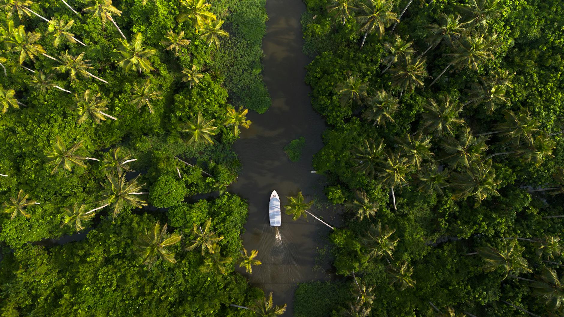 Exploring Kerala's Backwaters: Sustainable Waterways